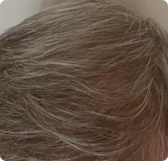 WEEKS 12+