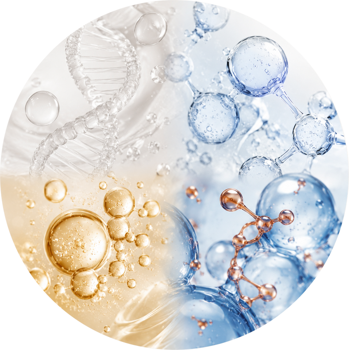 Longevity science, made for your
